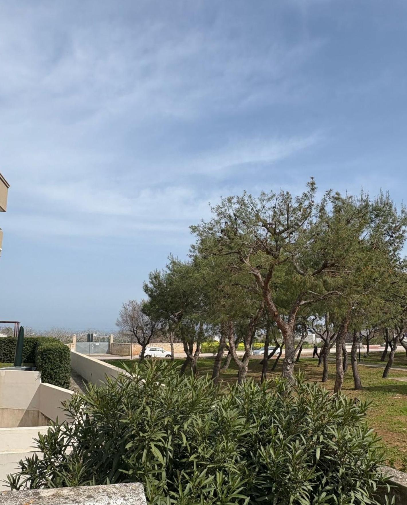 Venti Di Mare Hotell Monopoli Eksteriør bilde